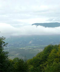 De rare Grand Colombier