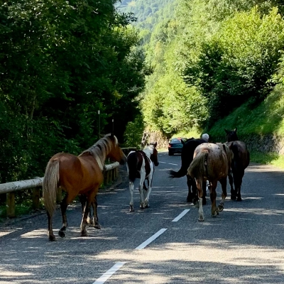 Richting Col de Portret-Aspet